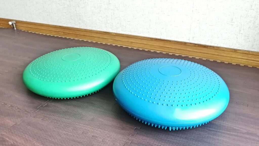 スノーボードオフトレグッズ バランスディスク